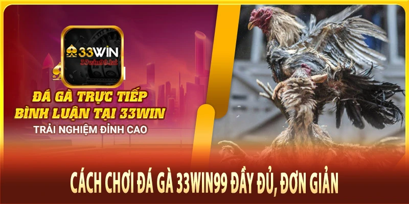 Cách chơi đá gà 33Win99 đầy đủ, đơn giản