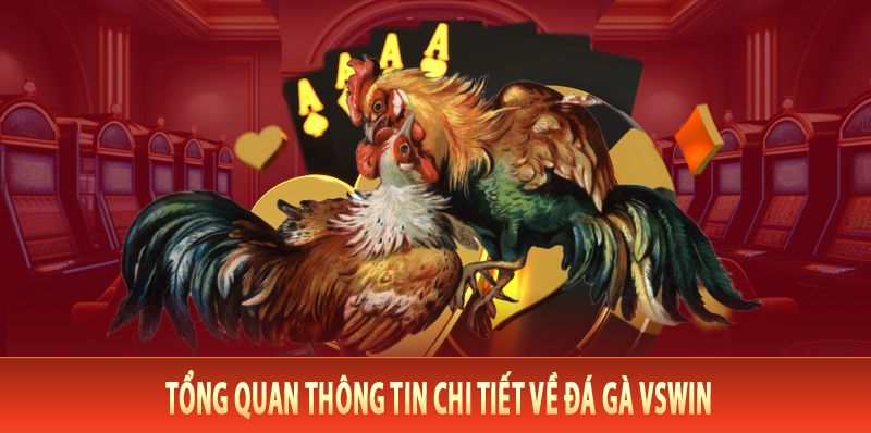 Tổng quan thông tin chi tiết về đá gà VsWin